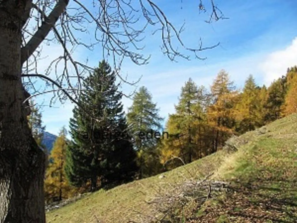 Albergo Eden Ponte Di Legno Itálie
